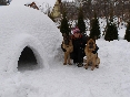 Aischa, Olivia a ja Orava 27.2.2009.jpg